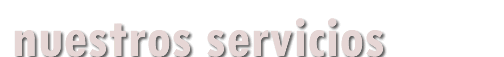 servicios