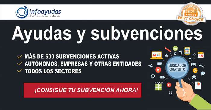 Buscador ayudas y subvenciones en Espaa